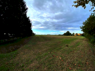 Vendita Terreno Agricolo Candiana