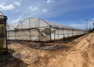 Vendita Terreno Agricolo Anzio