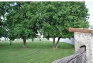 Vendita Terreno Edificabile Vigonza