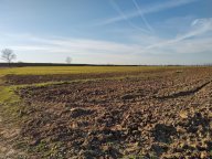 vendita terreno agricolo Casciana Terme Lari