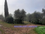 Vendita terreno agricolo SCANDICCI