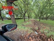 Vendita Terreno Agricolo Cicciano