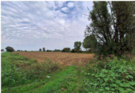 Vendita Terreno Agricolo Leno