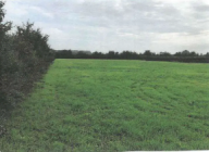 Vendita Terreno Agricolo Lugo