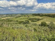 vendita terreno agricolo San Miniato