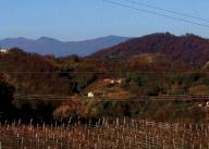 Vendita Terreno Agricolo Refrontolo