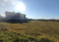 Vendita Terreno Edificabile Orgiano