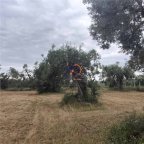 Vendita  Corigliano-Rossano