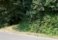 Vendita Terreno Agricolo Sovizzo