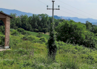 Vendita Terreno Agricolo Trissino
