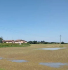 Vendita Terreno Agricolo Chignolo Po
