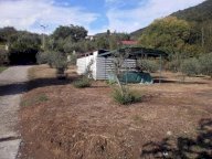 vendita terreno agricolo Carrara