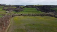 vendita terreno agricolo Asciano