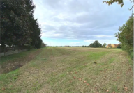 Vendita Terreno Agricolo Candiana