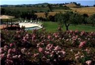 vendita terreno agricolo Grosseto