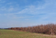 Vendita Terreno Agricolo San Daniele del Friuli