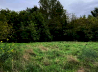 Vendita Terreno Edificabile Mantova