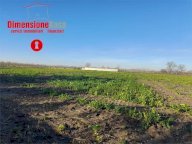 Vendita Terreno Agricolo Nola