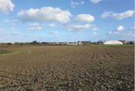 Vendita Terreno Agricolo Mondolfo