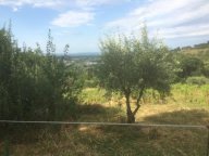 vendita terreno agricolo Poggibonsi