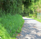 Vendita Terreno Agricolo Valgreghentino