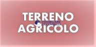 vendita terreno agricolo Massa