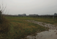 Vendita Terreno Agricolo Pescantina