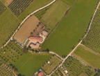 Vendita Terreno Agricolo Manerba del Garda