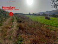 Vendita Terreno Agricolo Nola