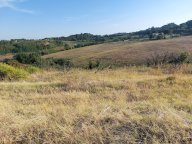 V Terreno agricolo Castel Bolognese