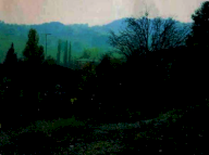 Vendita Terreno Edificabile Viano