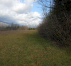Vendita Terreno Agricolo Aviano