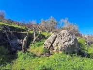 Vendita Terreno Edificabile Monreale