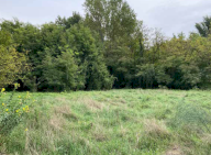 Vendita Terreno Edificabile Mantova