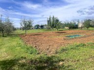 vendita terreno agricolo Cecina