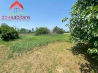 Vendita Terreno Agricolo Cavour