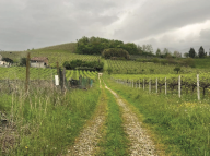 Vendita Terreno Agricolo Cappella Maggiore