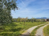 vendita terreno agricolo Casciana Terme Lari