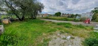 vendita terreno residenziale Capannori