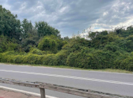 Vendita Terreno Agricolo Settimo Milanese