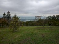 Vendita Terreno Agricolo Altopascio