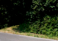 Vendita Terreno Agricolo Sovizzo