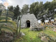 vendita terreno agricolo Andrano