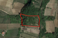 Vendita Terreno Agricolo Ari