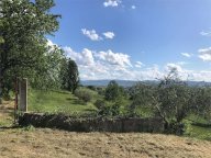 Vendita Terreno Agricolo Assisi