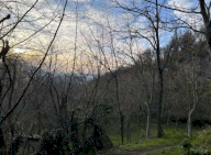 Vendita Terreno Agricolo Monzuno