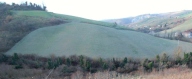 Vendita Terreno Agricolo Castrocaro Terme e Terra del Sole