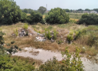 Vendita Terreno Agricolo Guastalla