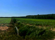 Vendita Terreno Agricolo Villimpenta