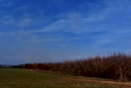 Vendita Terreno Agricolo San Daniele del Friuli